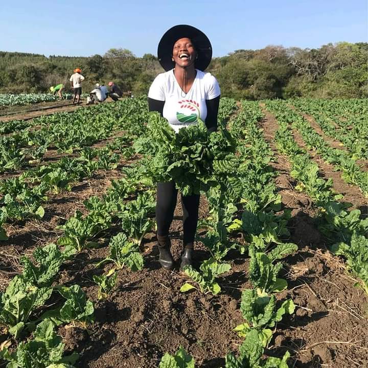 MpondaSabinus's tweet photo. Low crop prices make farmers unable to fulfill their dreams. https://t.co/sCgzC6CurK