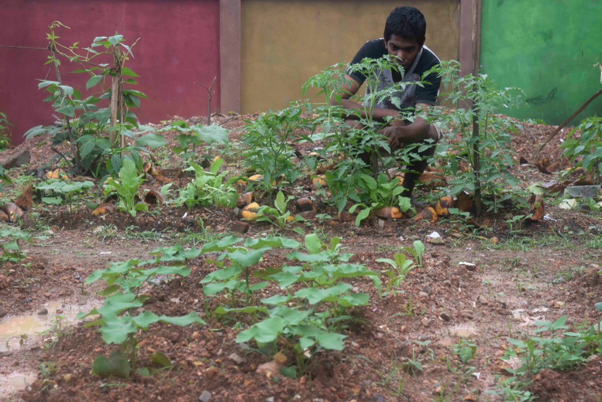 Small steps lead to big changes. The Community Kitchen, a concept that is helping to mitigate food security crisis. Follow 👇
sundaytimes.lk/220529/news/fl…
#EconomicCrisisLK #foodsecurity