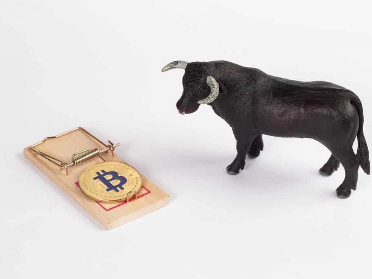CryptoCapo_'s tweet image. 