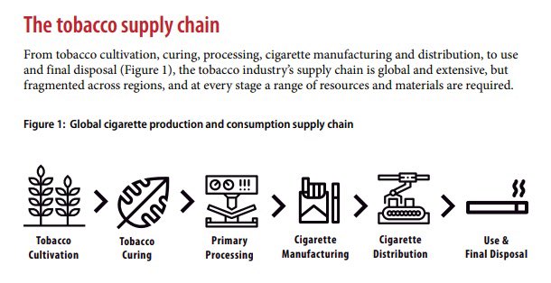 tobacco supply chain 3/ Tobacco as a commodity follows a definite value chain related to the  general agricultural value chain