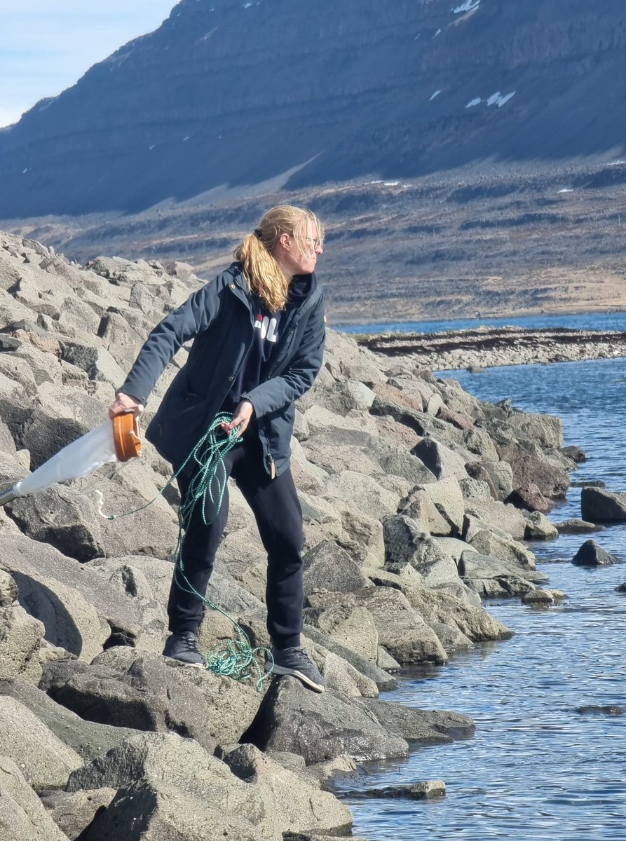 HardarSara's tweet photo. RV Bjarni Sæm &amp; super cool phycologist @KirstineDrumm back from a voyage around Iceland, lots of planktons and eDNA, sediments and forams @r_jackson87, looking forward to the proceedings @geus_paleoclim @ROCS_Centre @NHM_Denmark @Hafsjor @CPampoulie @SofiaIRibeiro @KRichardsonC https://t.co/PWw7ptzXDz