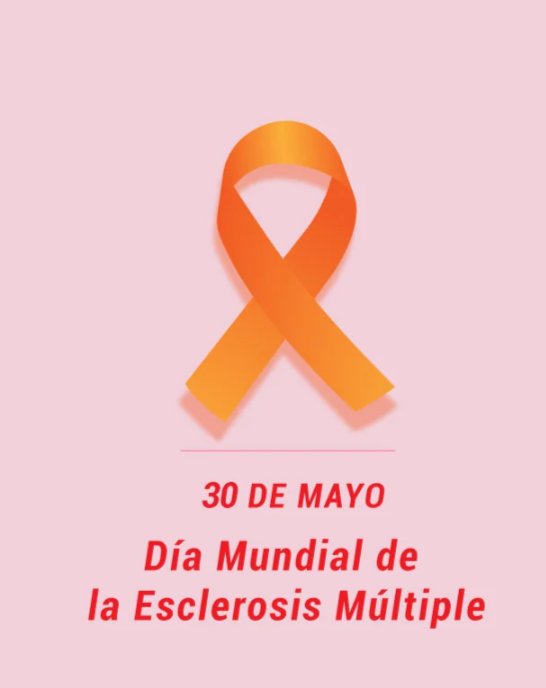 ElbolsillodemiAbuela (@elbolsillodemi) on Twitter photo 