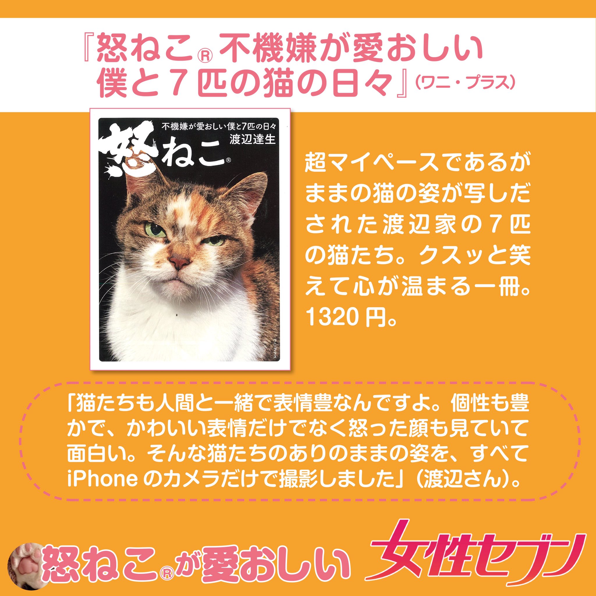 女性セブン 公式 怒ってる顔も可愛いですよ 数々の有名女優やモデルを撮影してきたグラビア界の巨匠 渡辺達生 さんが撮影した渡辺さんちのユーモラスな猫の表情 怒ねこ 写真を一部ご紹介 ねこ 猫 T Co Henlokbsvj Twitter