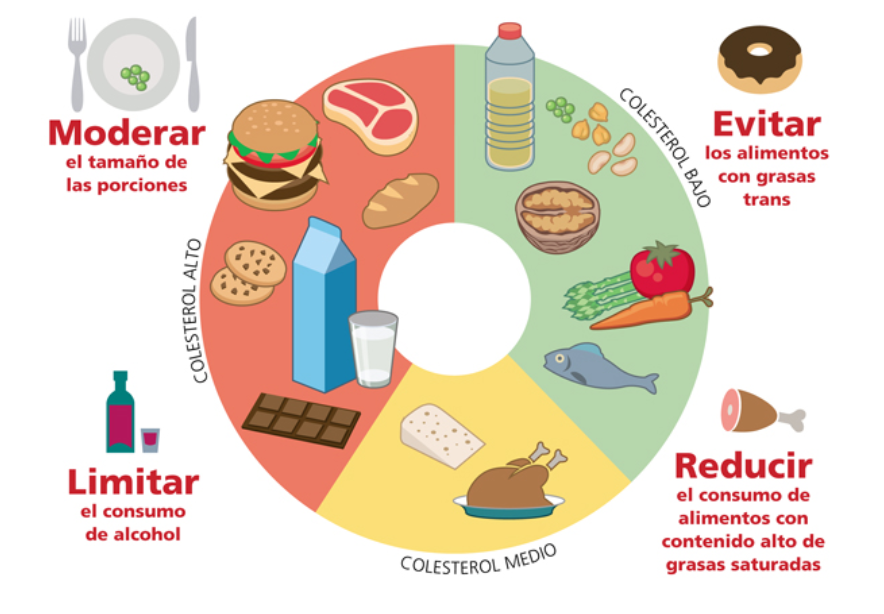 cuidarcorazon's tweet photo. Los niveles elevados de colesterol ponen en riesgo tu salud cardiovascular. ¿Sabes por qué? ¿Y cómo controlarlos? Te lo contamos aquí:
https://t.co/AH274dGxmd https://t.co/FVh8GASTUV