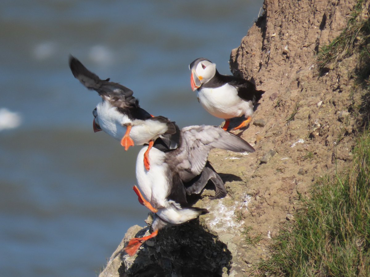 A collision accident