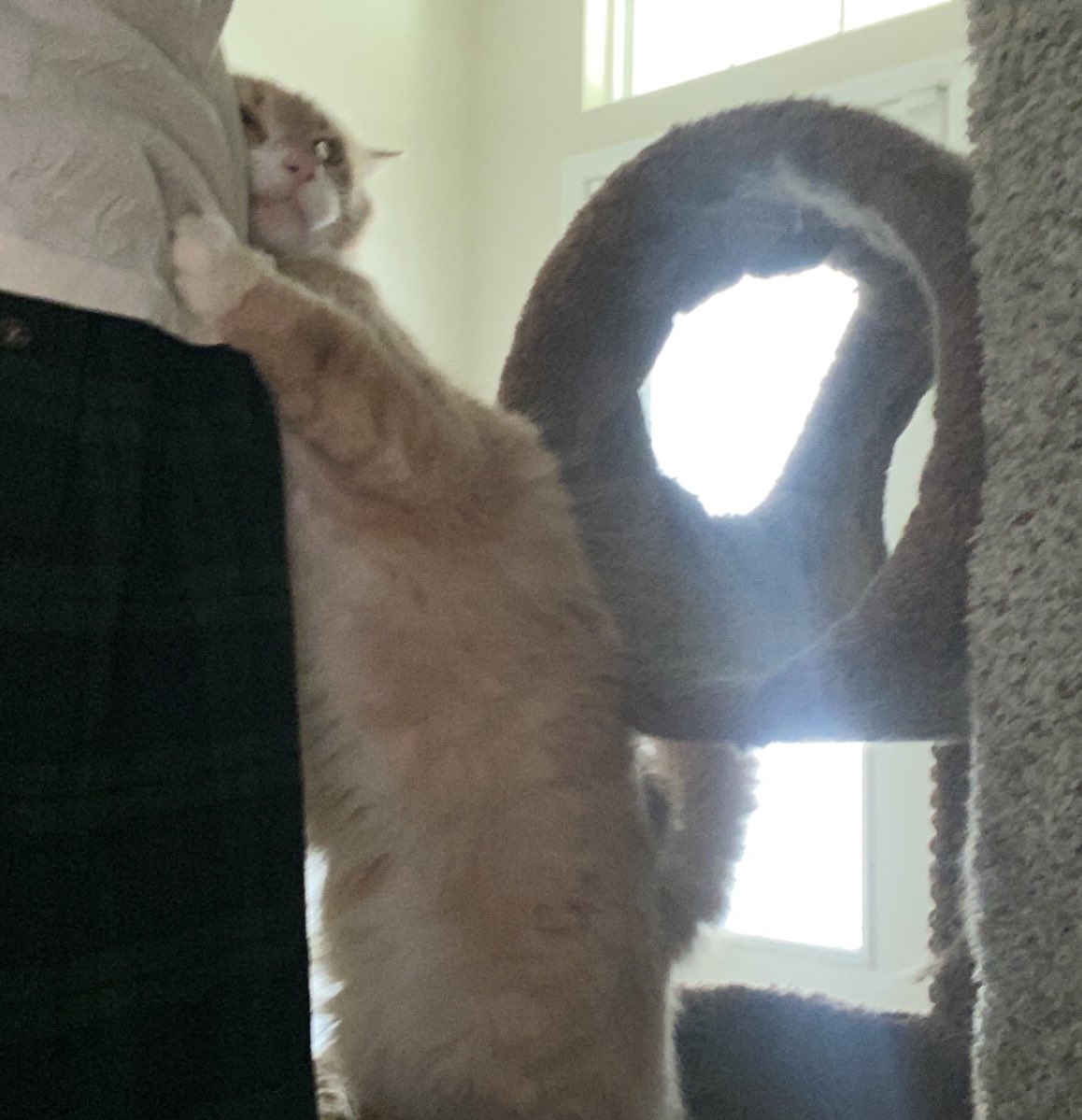 johnnyy_taylor's tweet photo. Scardy cat https://t.co/BXMQWu4Ykd