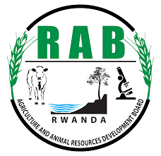 RTB_Rwanda tweet picture