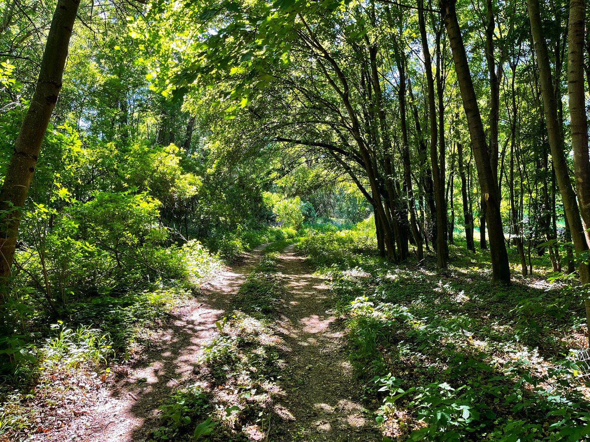 Be aware of your surroundings! #pictures #fotografia #foto #Fotos #umwelt #photography #photo #photooftheday #nature #NaturePhotography #natur