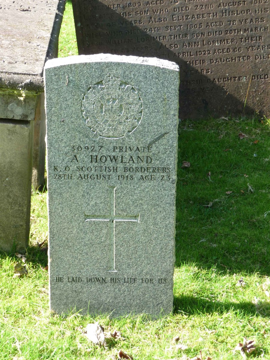 Lifelines Research tweet media