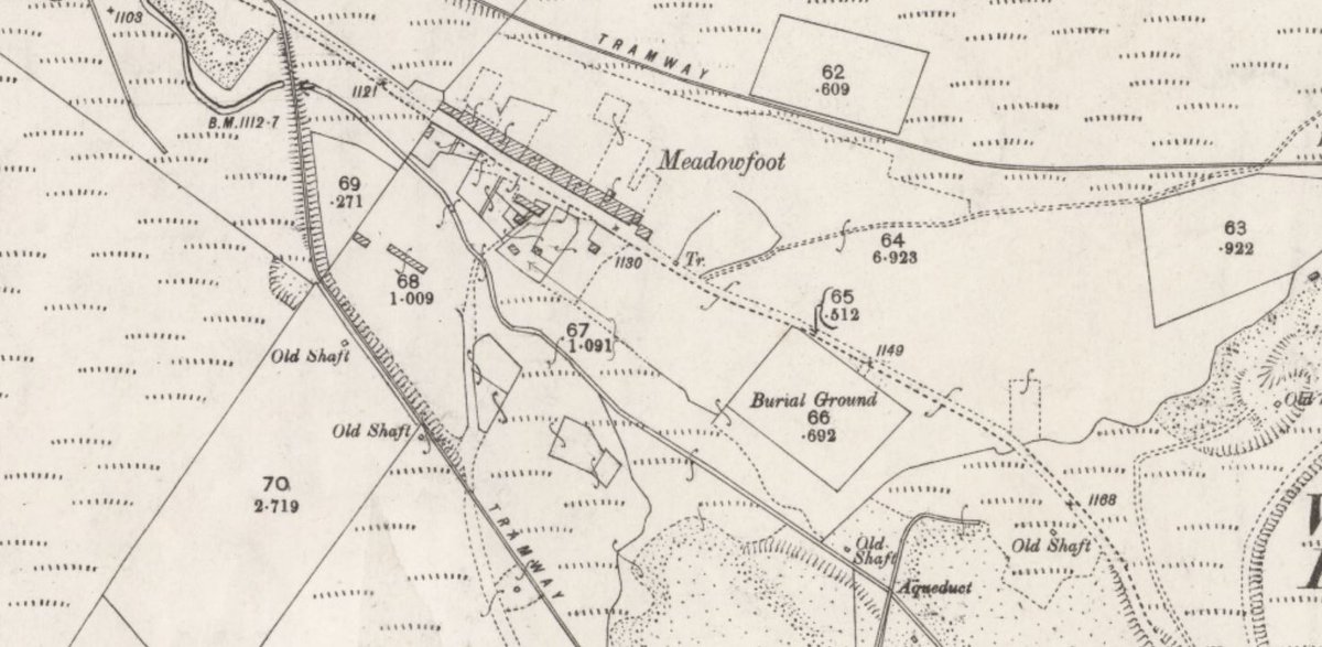 Lifelines Research tweet media