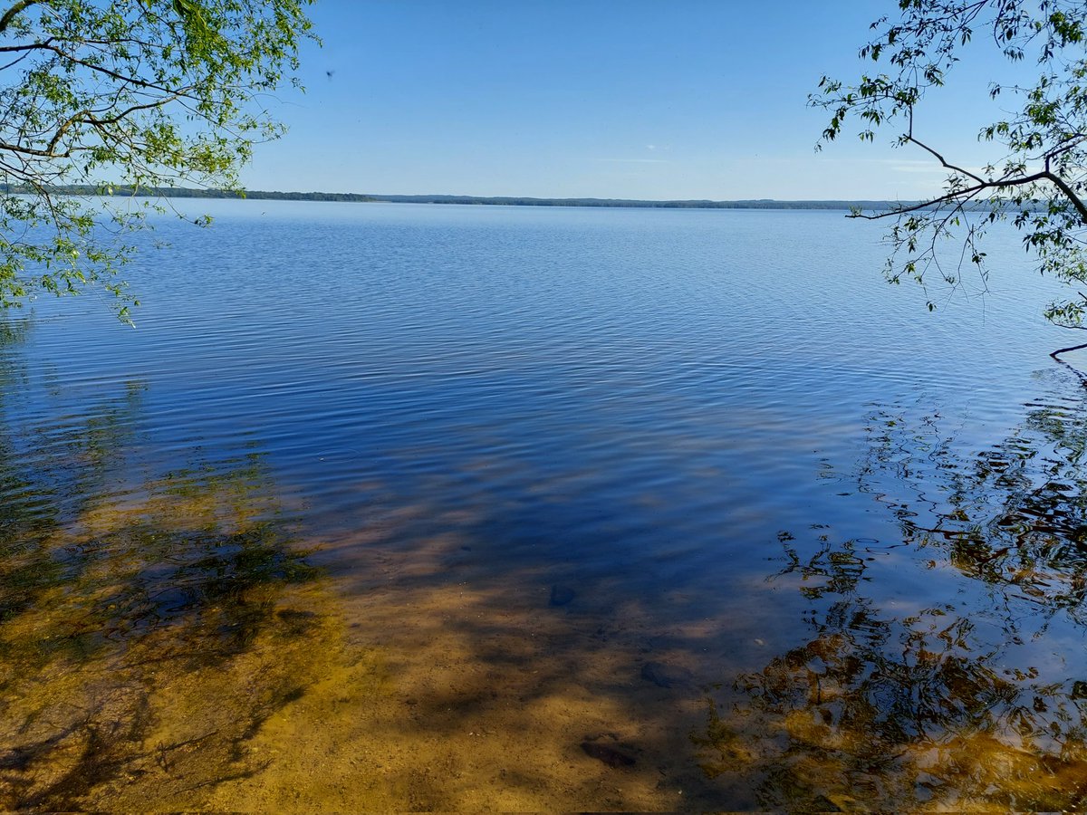 Yorkswede52's tweet photo. Sunday walk! https://t.co/HPKWA4HLo0