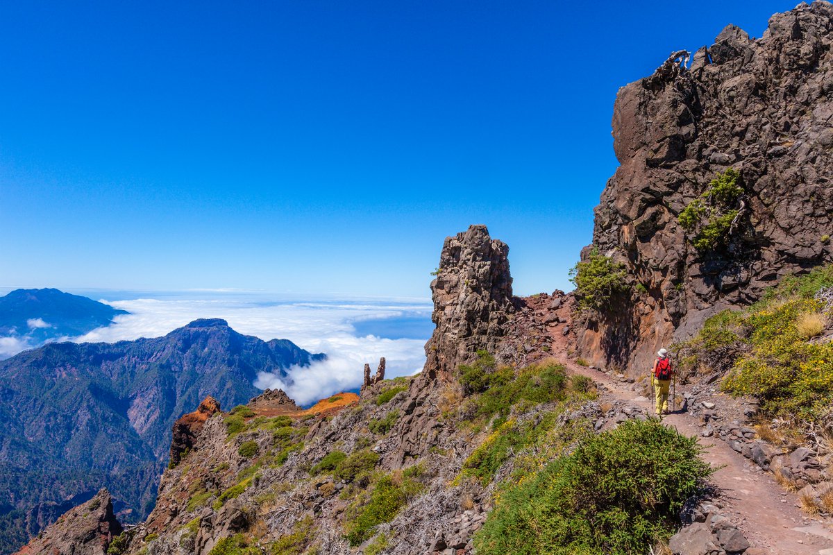 Allibert Trekking tweet media