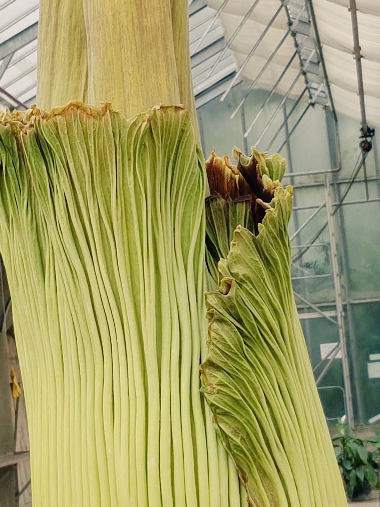 Amy Schuber tweet media