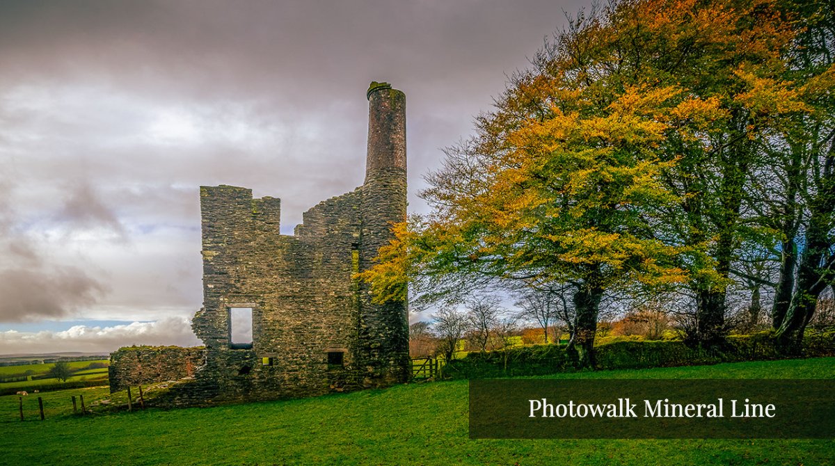 Exmoor Camera Club tweet media