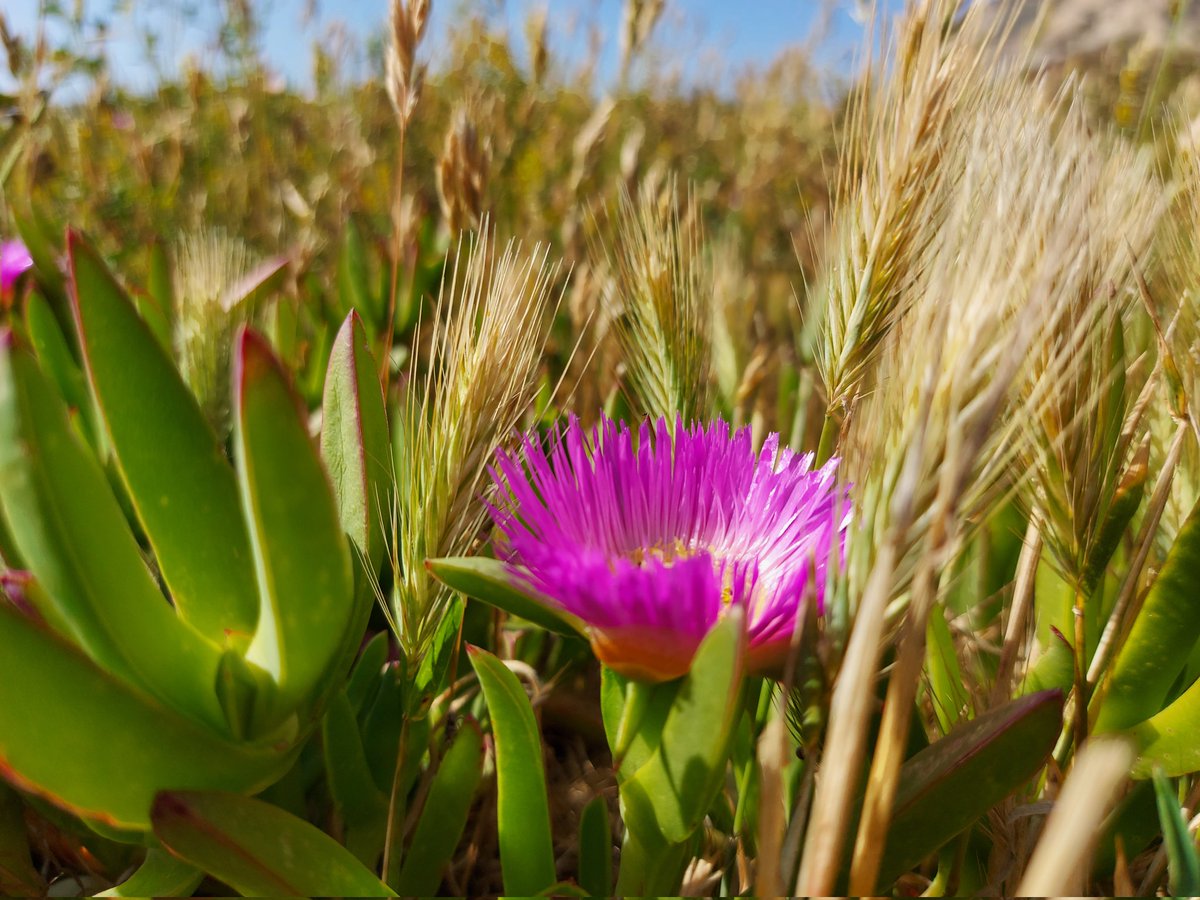 Danny (@dannyliphotos) on Twitter photo 