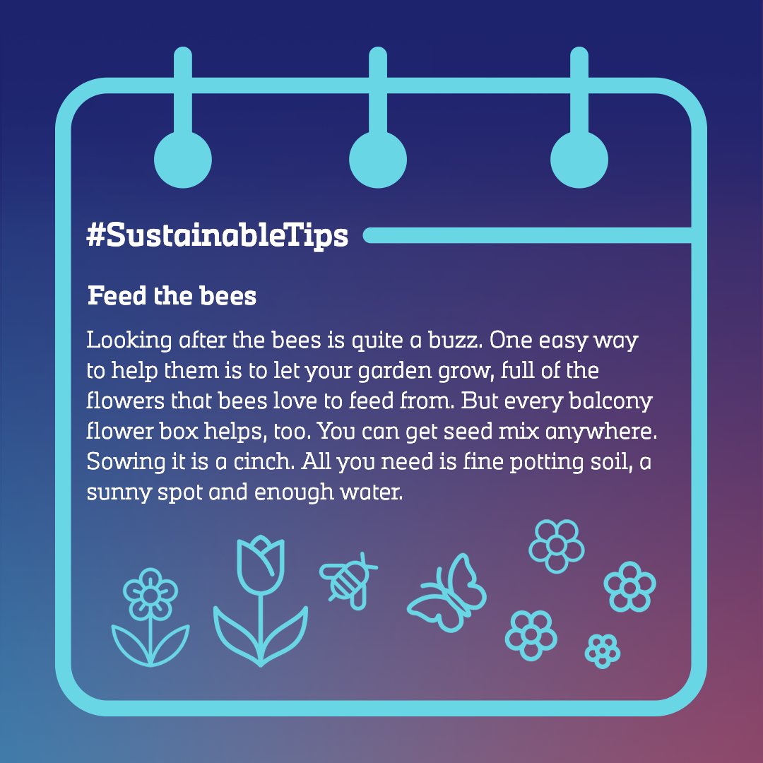 Imagine life without bees 🐝 . Global biodiversity depends on them. So much of our food depends on their pollination. But we’re losing them at an alarming rate. What can we do to preserve the bees? First of all, we can help them find food. #SustainableTips #Bees #SaveTheBees
