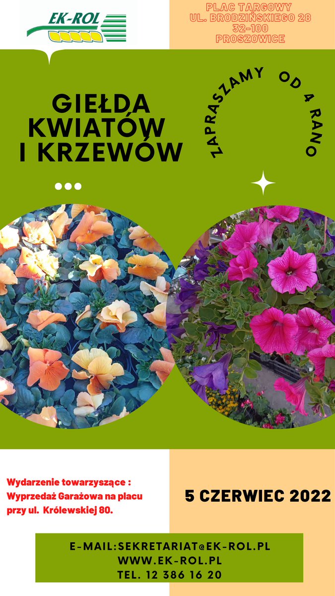 gie_rol's tweet photo. Zapraszamy do Proszowic.
#pierwszaniedziela #giełdakoni #kwiatyikrzewy
#drobnyinwentarz #wyprzedażgarażowa #zaprszamy #5czerwiec https://t.co/2Q0sjz4gWj