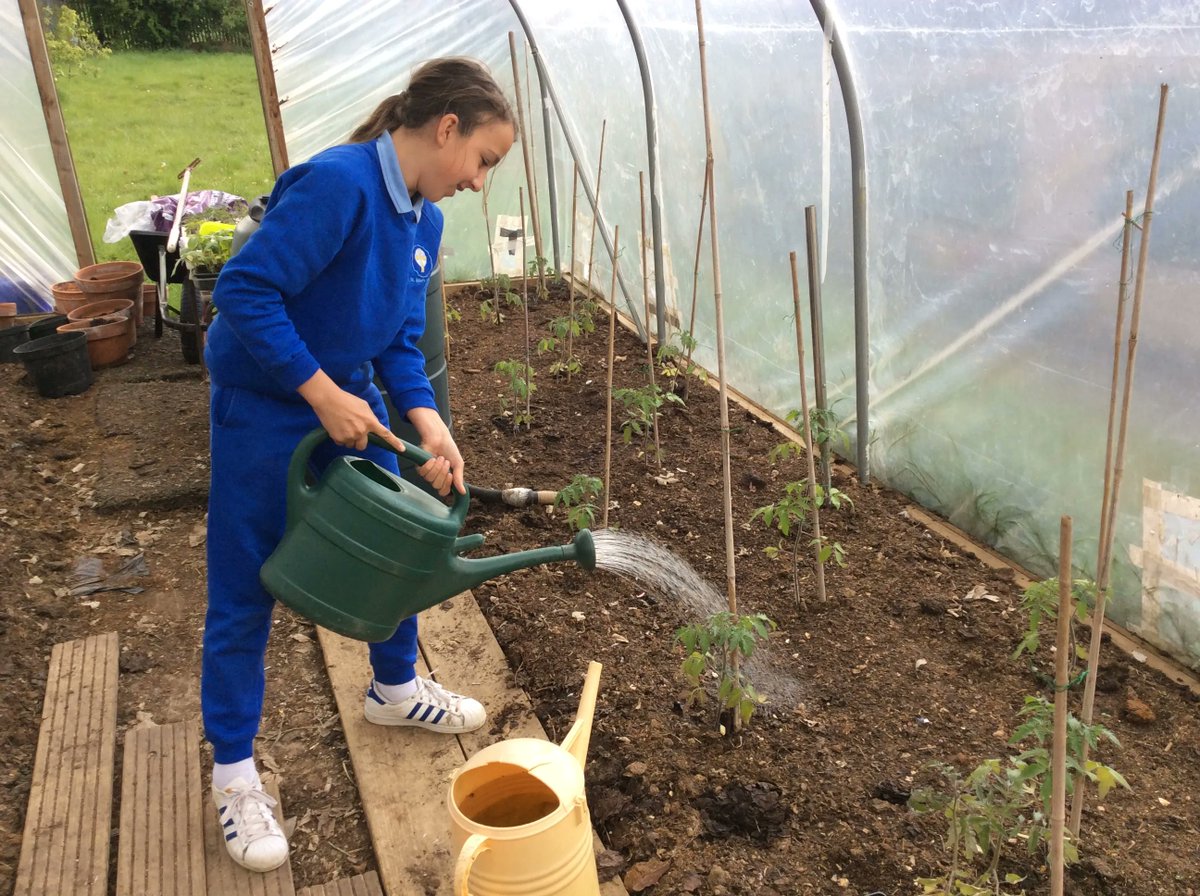 sfmtweet's tweet photo. All children should have #FoodEducation. A brilliant/enjoyable way for them to learn is through #growing their own fruit &amp; veg - as they do on our school programmes. Let’s promote more of this for #NationalChildrensGardeningWeek!

#growyourown #TwitterNatureCommunity #edchat https://t.co/gLroH6eEpm