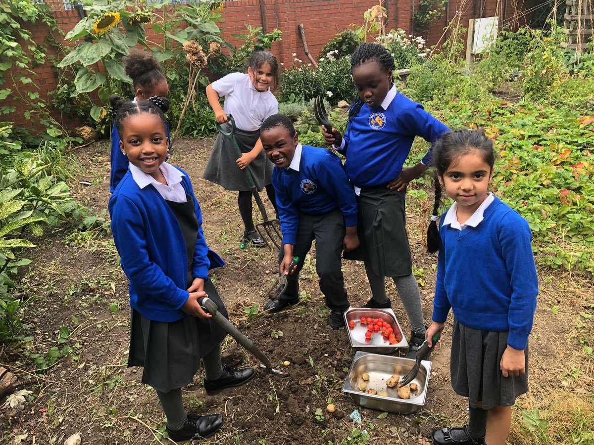 All children should have #FoodEducation. A brilliant/enjoyable way for them to learn is through #growing their own fruit &amp; veg - as they do on our school programmes. Let’s promote more of this for #NationalChildrensGardeningWeek!

#growyourown #TwitterNatureCommunity #edchat