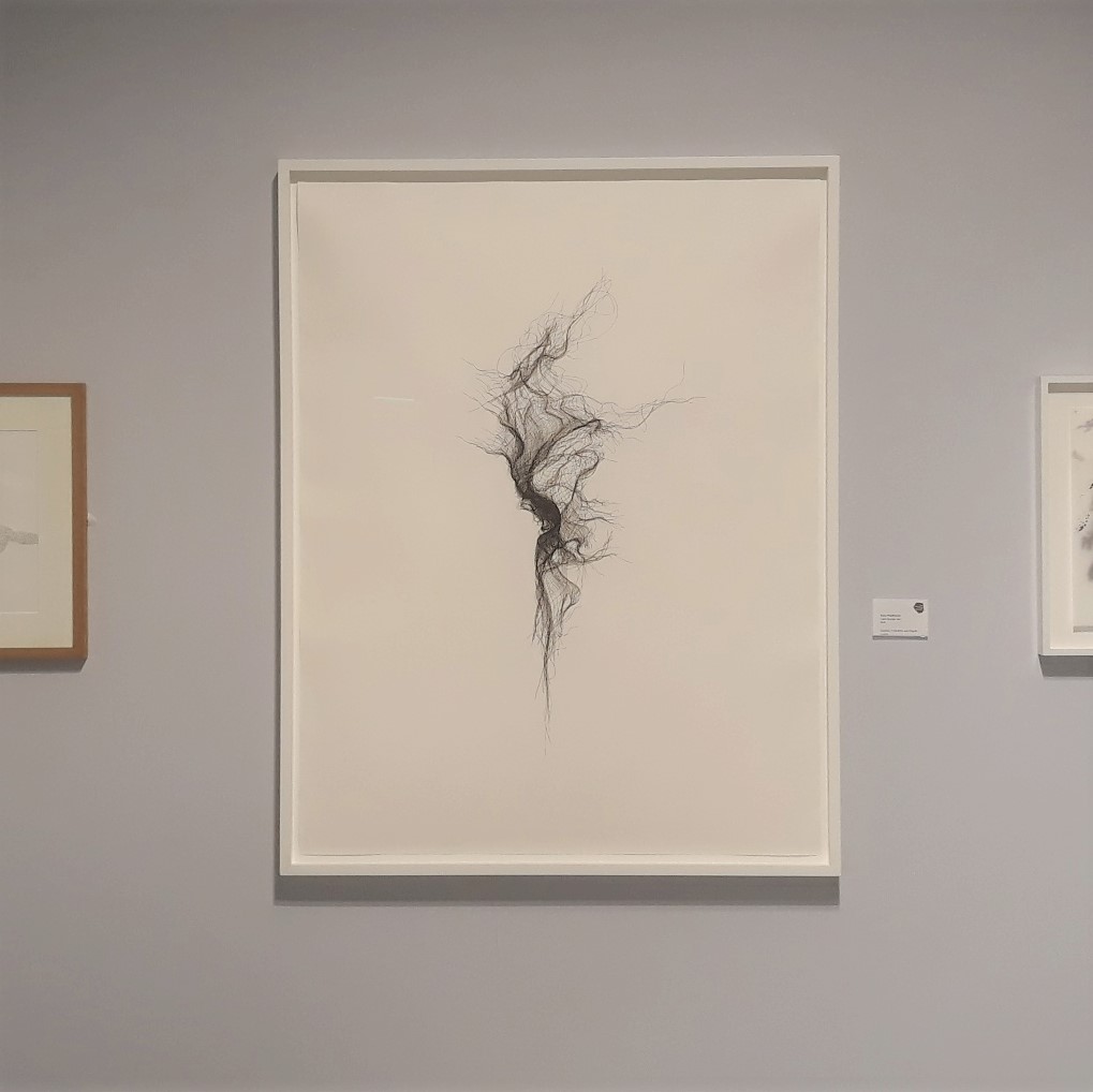 theturnpikegall's tweet photo. Drawing is an important part of Susie MacMurray's practice. In addition to her large scale pen & ink work for #DrawnIn she often uses unconventional materials such as rubber tubing, hair & wax. She has exhibited across the UK & internationally, and in 'Unbound' here in 2007. https://t.co/B23FLUvq5L