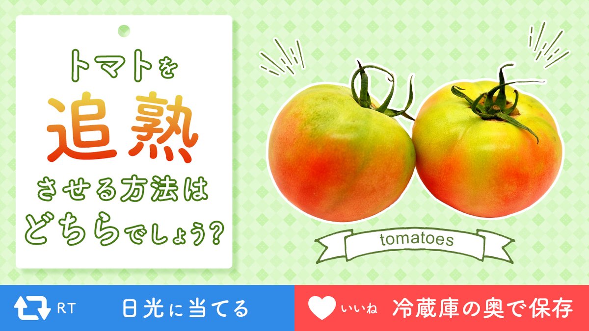 ティファールの食材豆知識🥢 夏野菜で人気のトマト🍅 トマトは赤く熟し