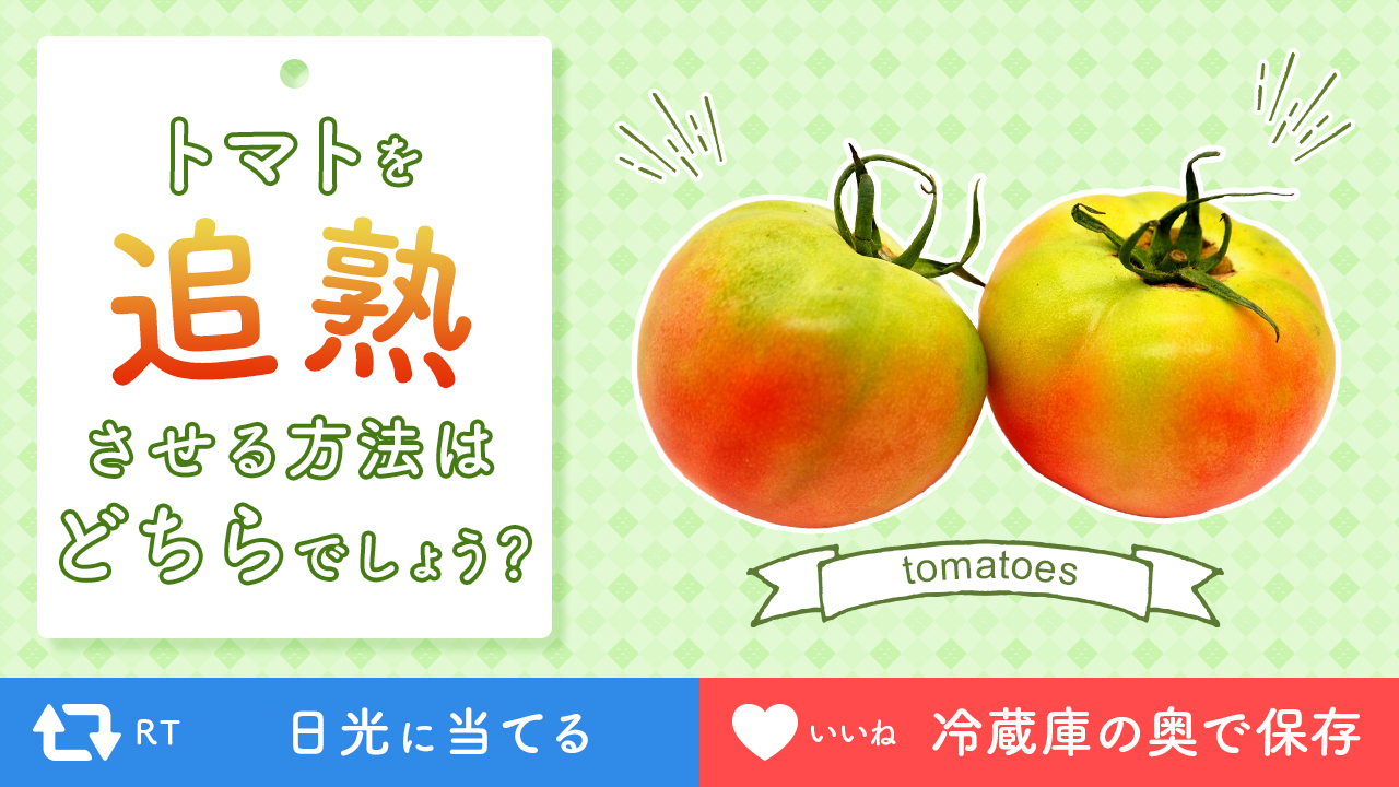 ティファール T Fal 公式 ティファールの食材豆知識 夏野菜で人気のトマト トマトは赤く熟しているものが美味しいですよね じつは熟していない青いトマトも 追熟させることで美味しく食べることができるんですよ 追熟させる方法は次のうちどちらで