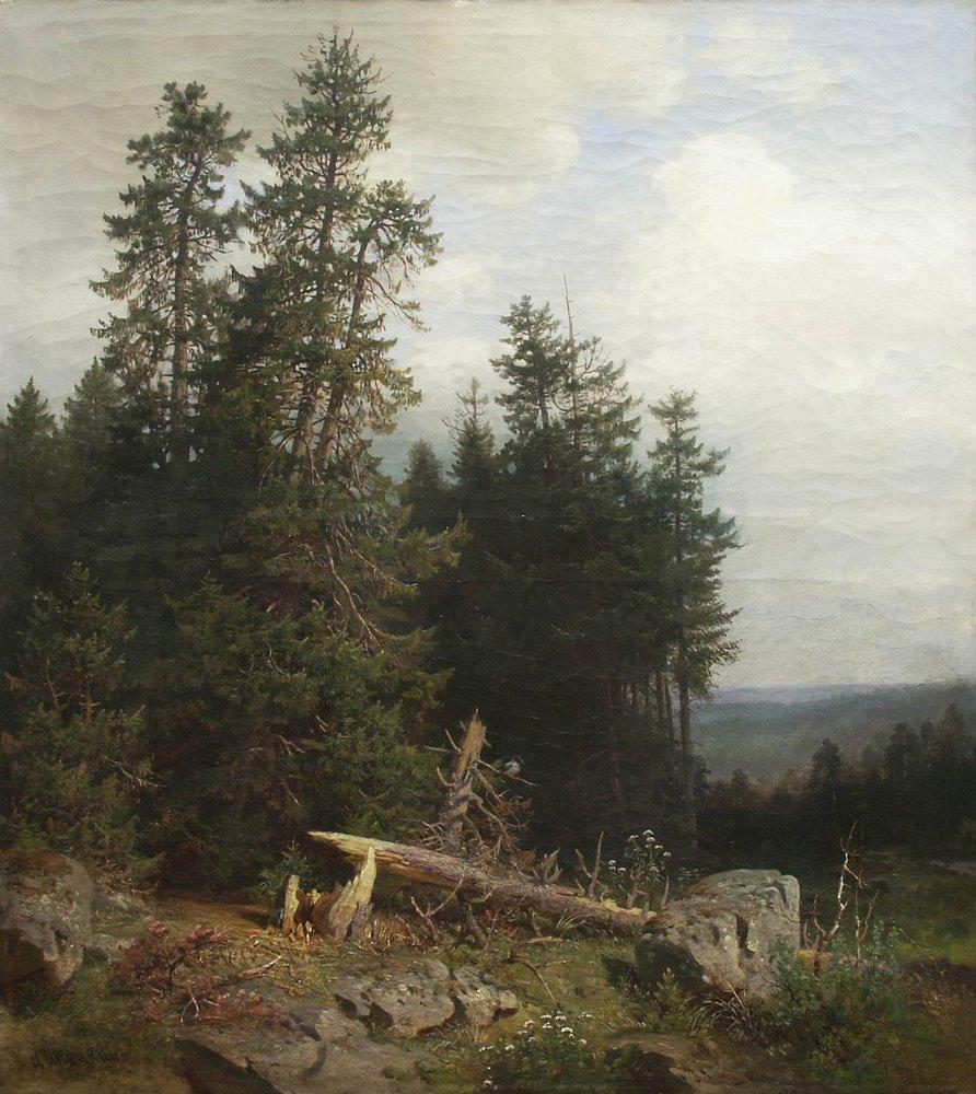 Ivan Shishkin tweet media