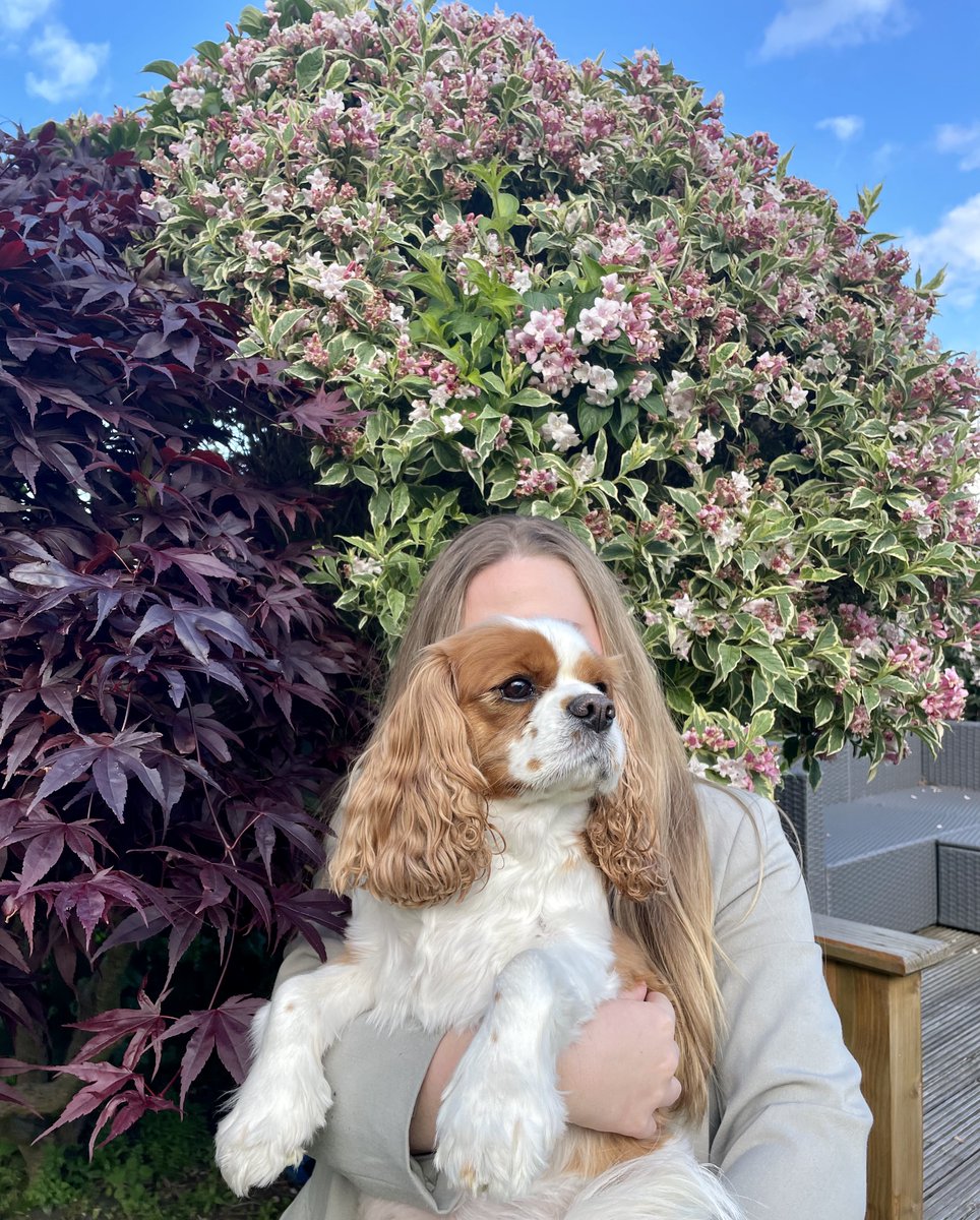 SocialProgress's tweet photo. We've got some exciting news! #TeamSoPro is growing and we have someone new joining us here in the office next week - can you guess who it might be?
#SoProTeam #SoProHigh5 https://t.co/AW4UJgjR8Z