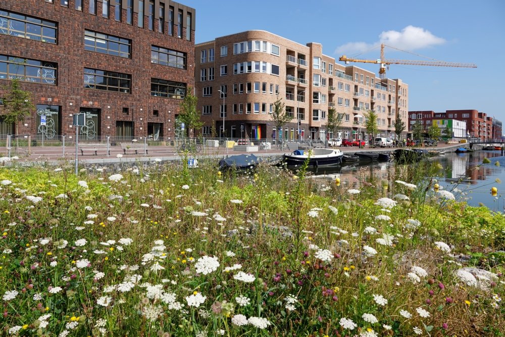 020West's tweet photo. Vandaag gaat de 5e editie van #WestBegroot van start! Heb jij een goed idee voor jouw buurt? Dien dan je plan in voor een nog leuker, gezelliger of groener stadsdeel West! Voor meer informatie, zie https://t.co/HkNSt5Zy1M. https://t.co/RU9ROxQGLh
