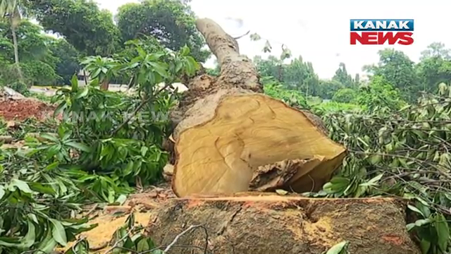 kanak_news's tweet photo. ୟୁନିଟ୍-୪ ଅଞ୍ଚଳରେ ଗଛକଟା ଚାଲିଥିବା ବେଳେ ବଢ଼ିଲା ପ୍ରତିବାଦ । ବଡ଼ ପ୍ରଶ୍ନ, ବିକଳ୍ପ ବ୍ୟବସ୍ଥା ଉପରେ କାହିଁକି କରାଗଲାନି ବିଚାର ?
https://t.co/NOpvECp1rh
#Bhubaneswar #Odisha https://t.co/I5DbN4avut
