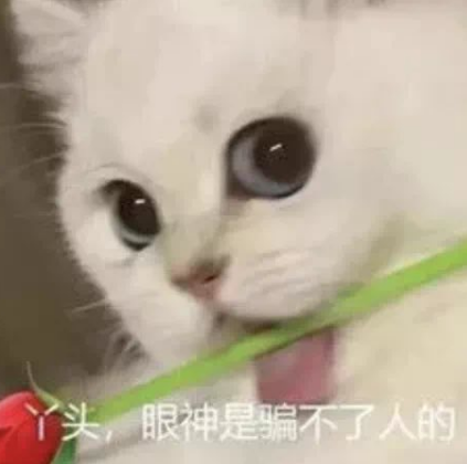 爆富的心😍是每一天的梦💫~