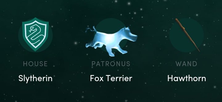 WIZARDFES⚡️ tweet media