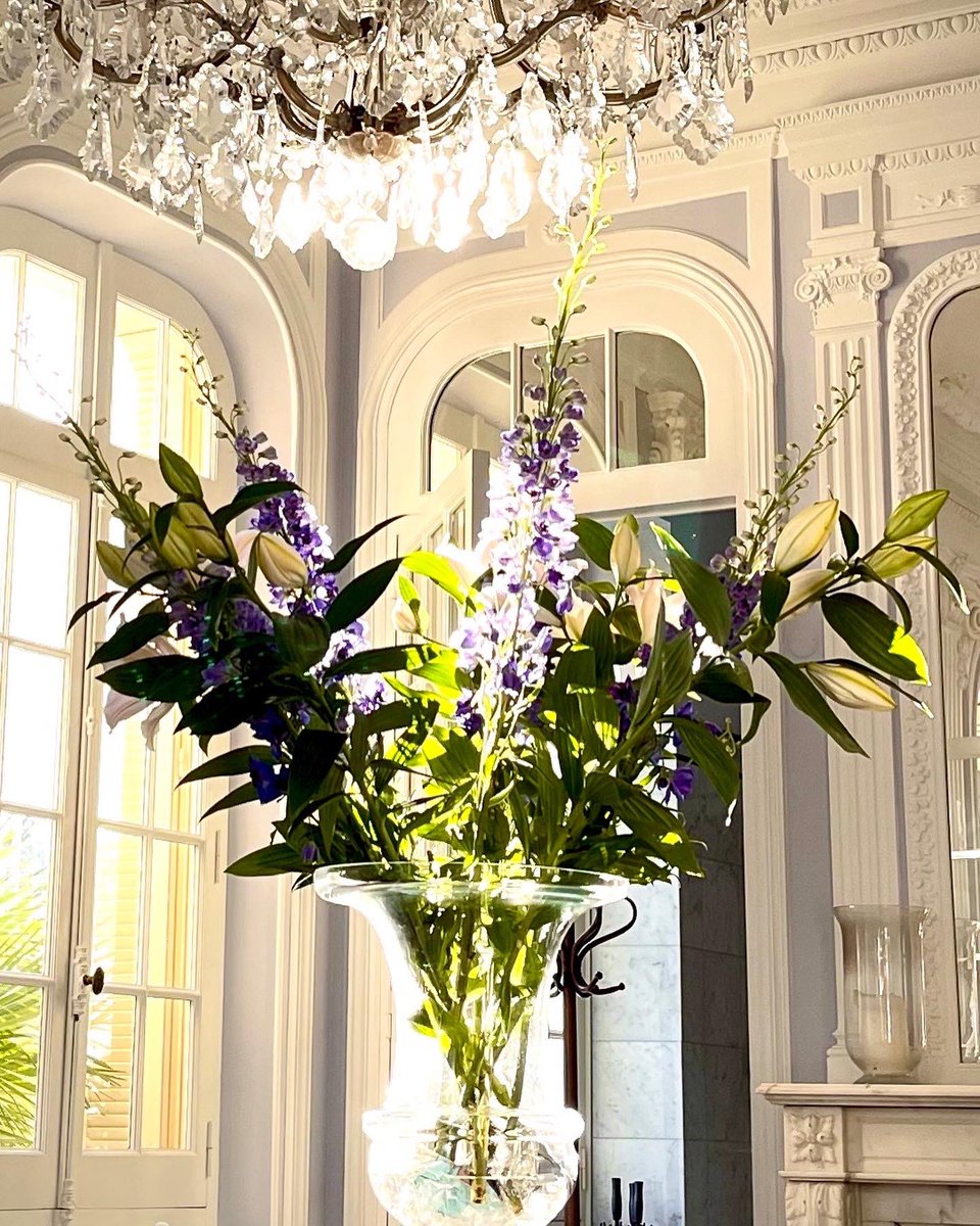 Villalabri's tweet photo. #Flowers #breakfast #lunch &amp; #dinner @Villalabri #cannes.. summer has begun😎 https://t.co/5sfOHmrnt0