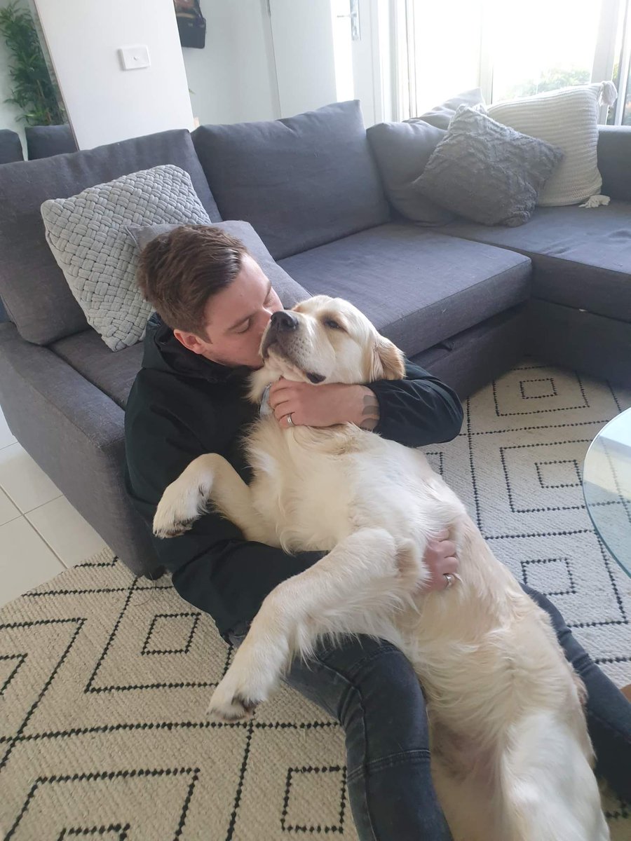hewZii's tweet photo. Love this Lil dude 😘🐶 https://t.co/YQhHZuxmIF