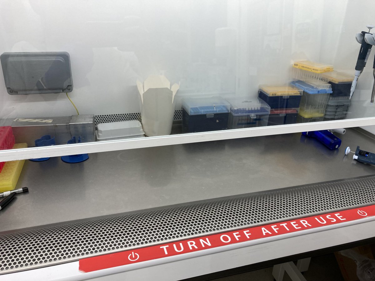 Can people stop doing that? The grill at the back of the safety cabinet is there for more that decoration! #aircirculation #cellculture #sterile