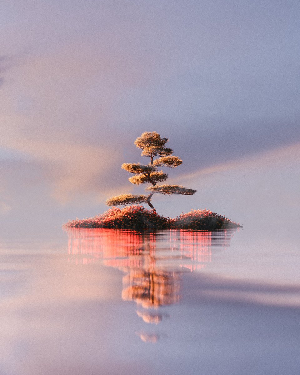 Vagabond Diary tweet media