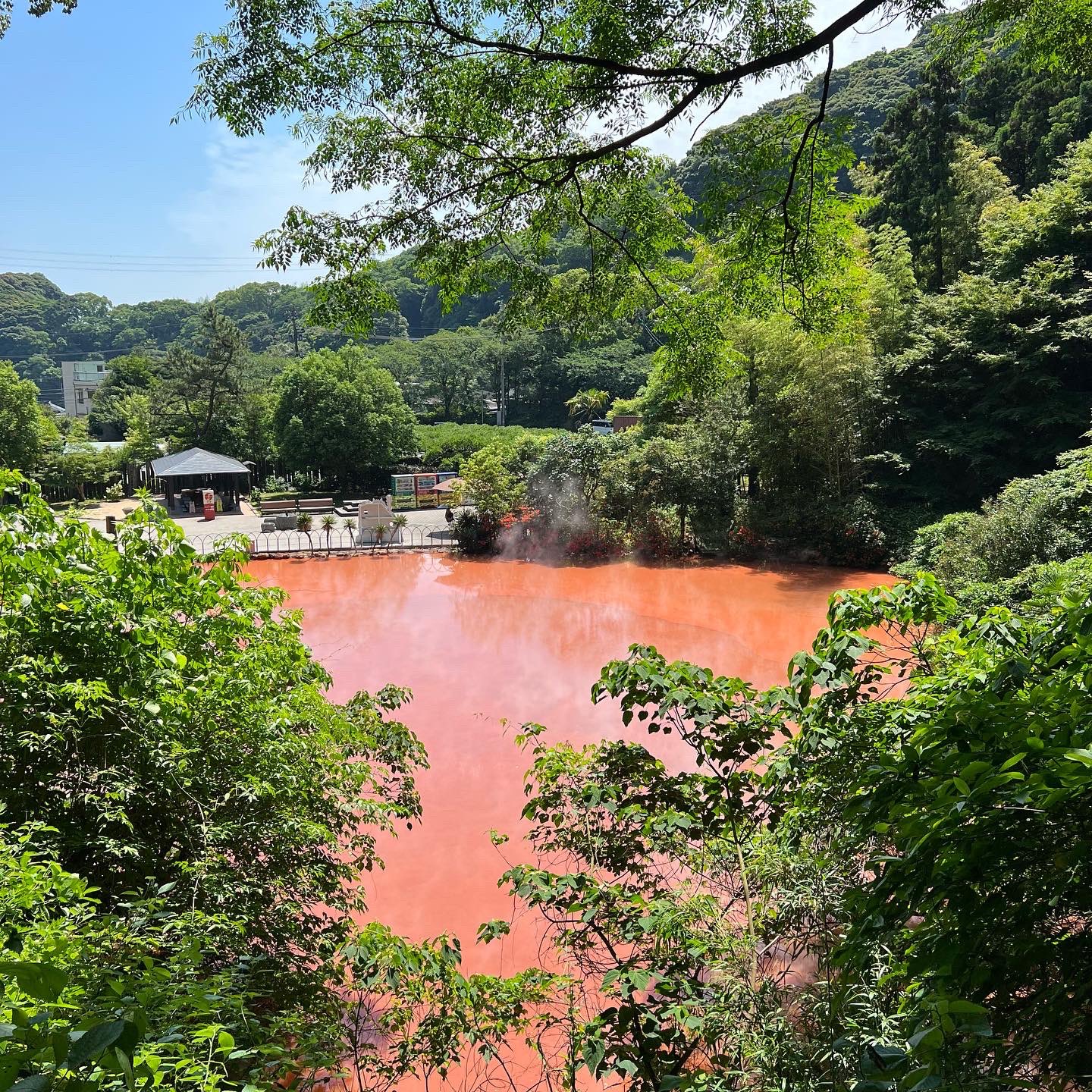 Puff 別府地獄めぐり 血の池地獄 大分県 大分県別府市 別府地獄めぐり 血の池地獄 赤湯泉 国指定名勝 国指定名勝血の池地獄 ようこそ地獄へ T Co 4joeydvu41 Twitter