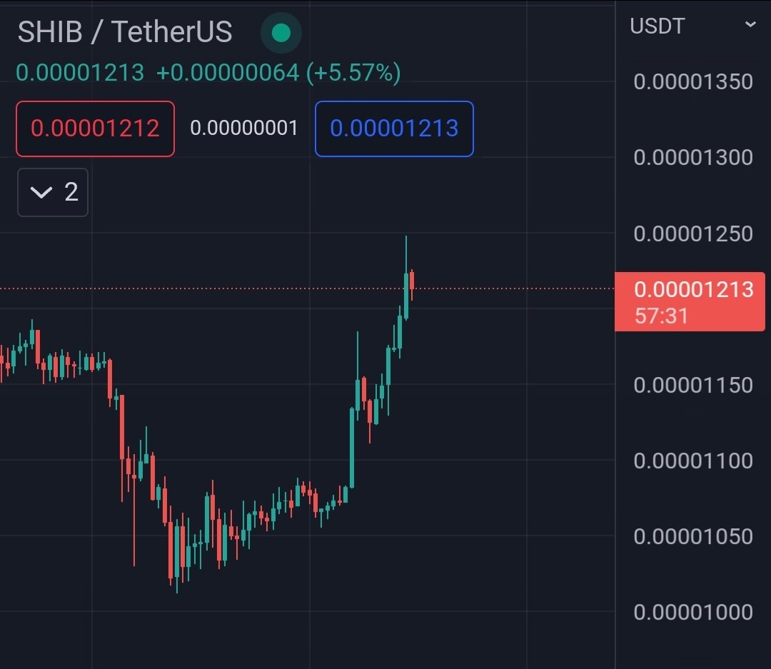 $SHIB Reached All the Targets!✅