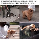 狂犬病予防注射会場のドタバタ劇!いろんなワンちゃんが登場!