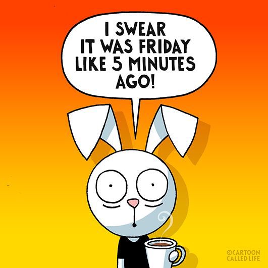 CARTOON CALLED LIFE on Twitter: "Monday mood 🐰🤪 #cartoonoftheday #