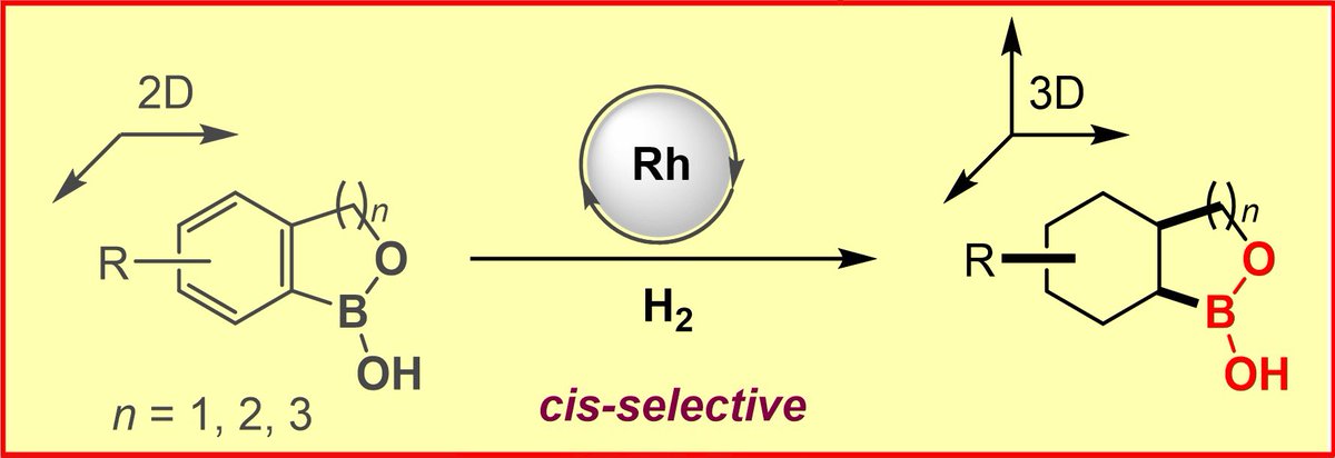 Paving another escape route from flat land! 🛫 Please check out how a new and biologically important 🧬 class of saturated boronic acids can be accessed via an arene-#hydrogenation strategy. 

Just published in <a href="/angew_chem/">Angewandte Chemie</a>: onlinelibrary.wiley.com/doi/10.1002/an…

Kudos <a href="/AKaithal/">Akash Kaithal</a>, Tobias &amp; Team!