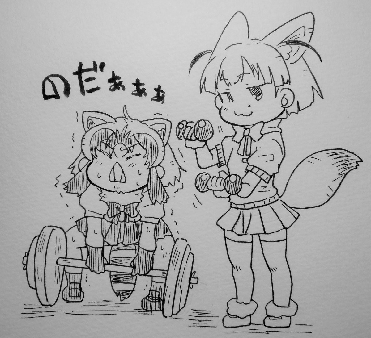 今日のアライさん
筋トレすんべ!
#アライさん 
#けものフレンズ 