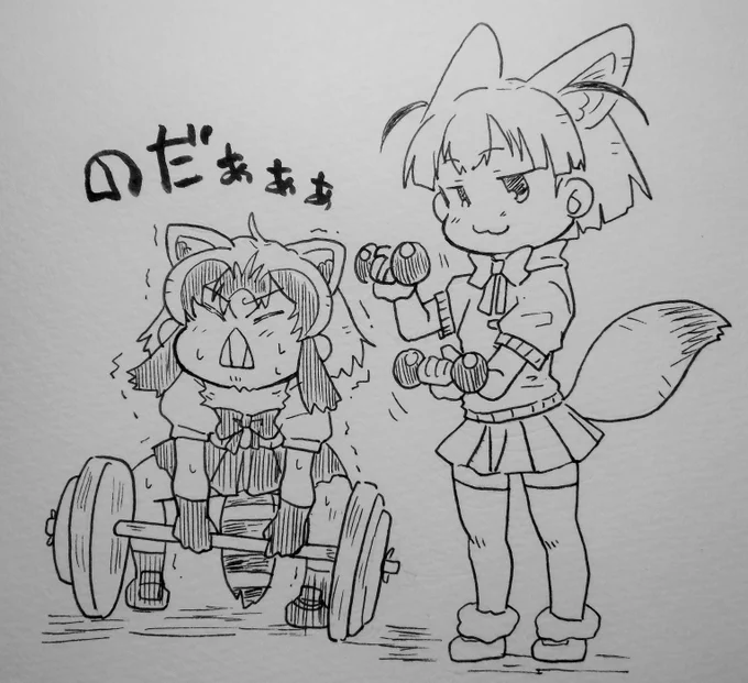 今日のアライさん
筋トレすんべ!
#アライさん 
#けものフレンズ 
