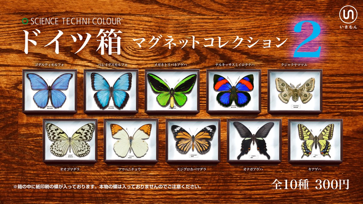 ドイツ箱マグネットコレクション2」 箱の後ろにマグネットがついている