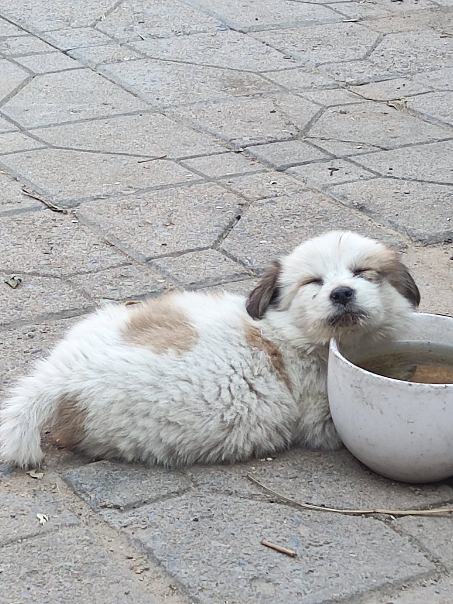 liurings's tweet photo. sleeping https://t.co/Rjb4GpfsGw