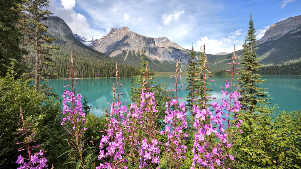 #MondayMotivation #MondayThoughts #MuwellMotivation
#FelizLunesATodos
There are two primary choices in life: to accept conditions as they exist, or accept the responsibility for changing them!!💪🏼
We don't get to choose what is true.  We only get to choose what we do about it!!🤔