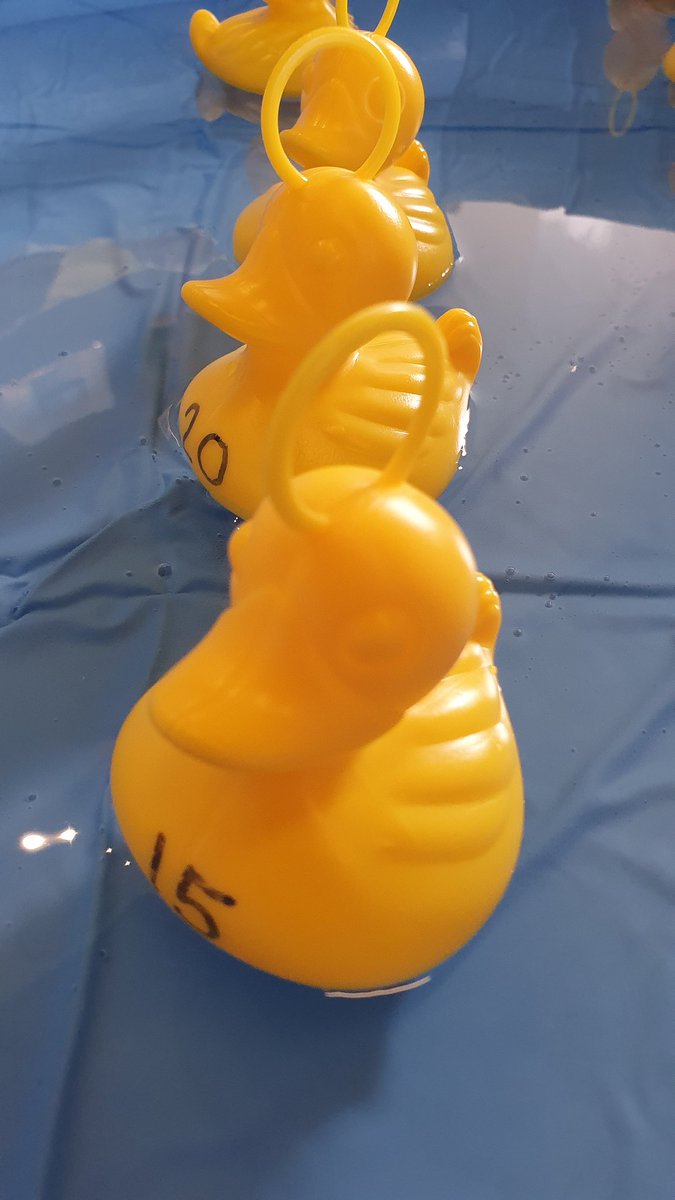 jtipWellB's tweet photo. All our ducks are in a row.. for the conference of the year! #NACOSD   listening to young people's views to help shape the future on The Cost of The School Day. #fairness #learning  @HealthNac https://t.co/IvSCcgVzNE