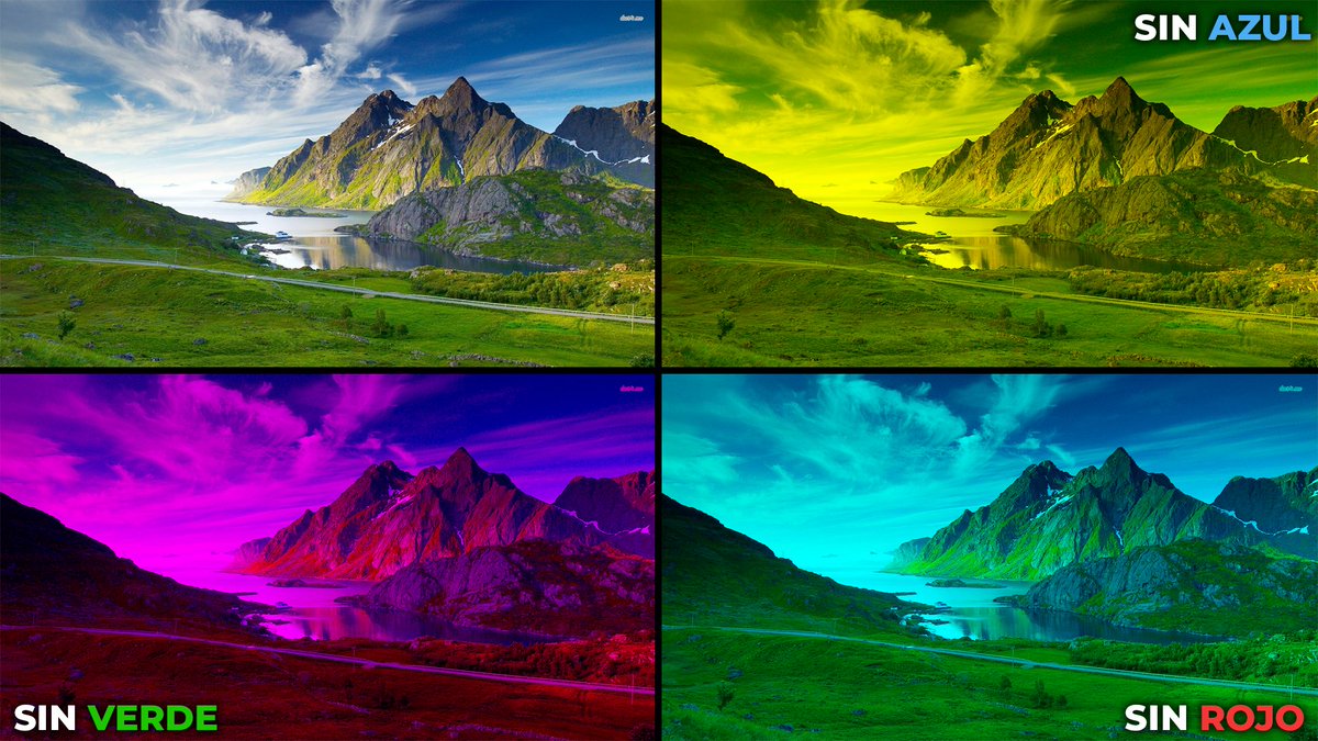 menos_trece's tweet photo. Imaginad que a partir de hoy, os dicen que solo podéis ver 2 de los colores del RGB 🟥🟩🟦

¿Cuál preferís perder?

Me ha surgido la duda hablando con un amigo, y tras probar en photoshop, creo que es fácil:

ADIOS AZUL 👋🏻

Lo peor sería quitar el verde, creo. https://t.co/sllCfA4IPb
