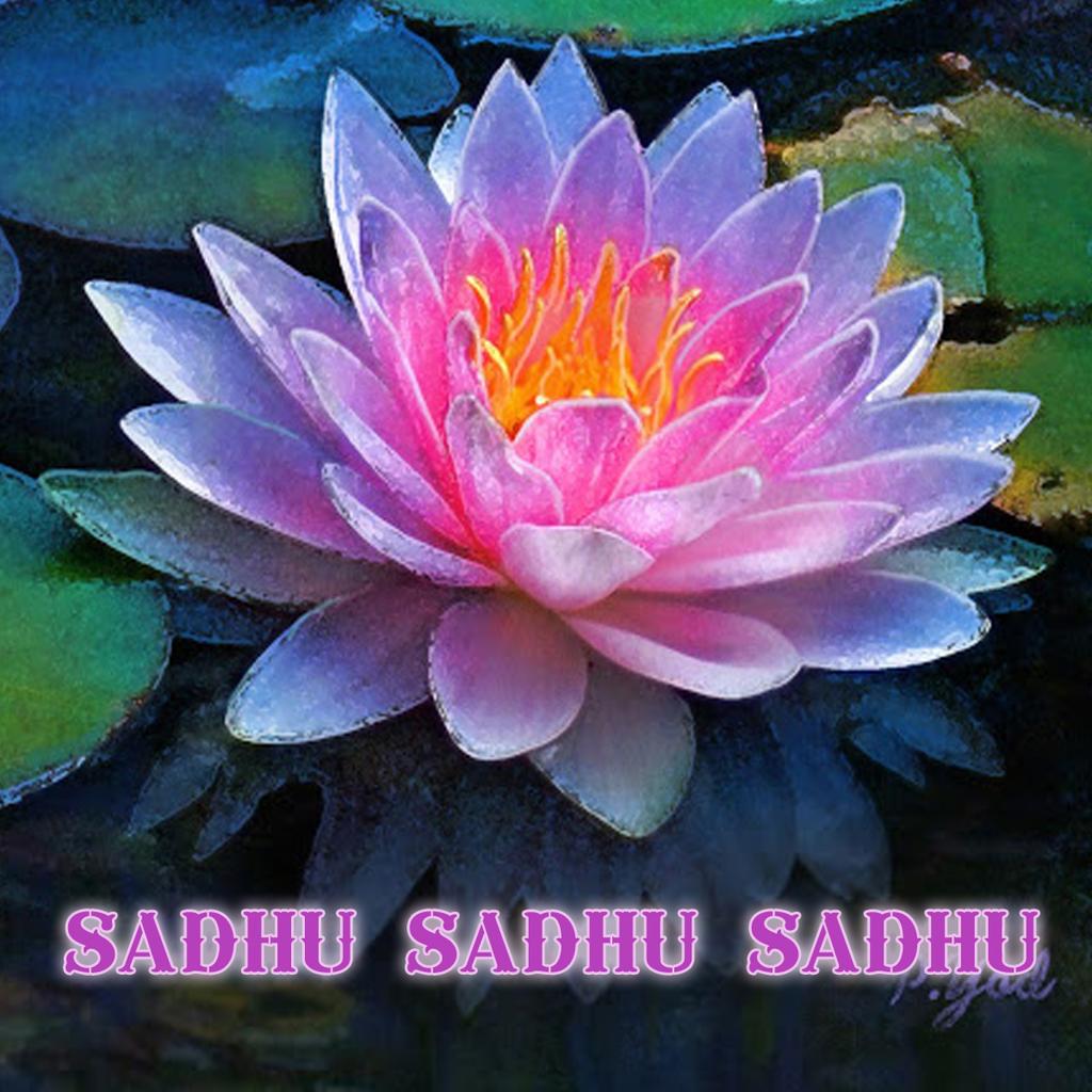 My Image 51