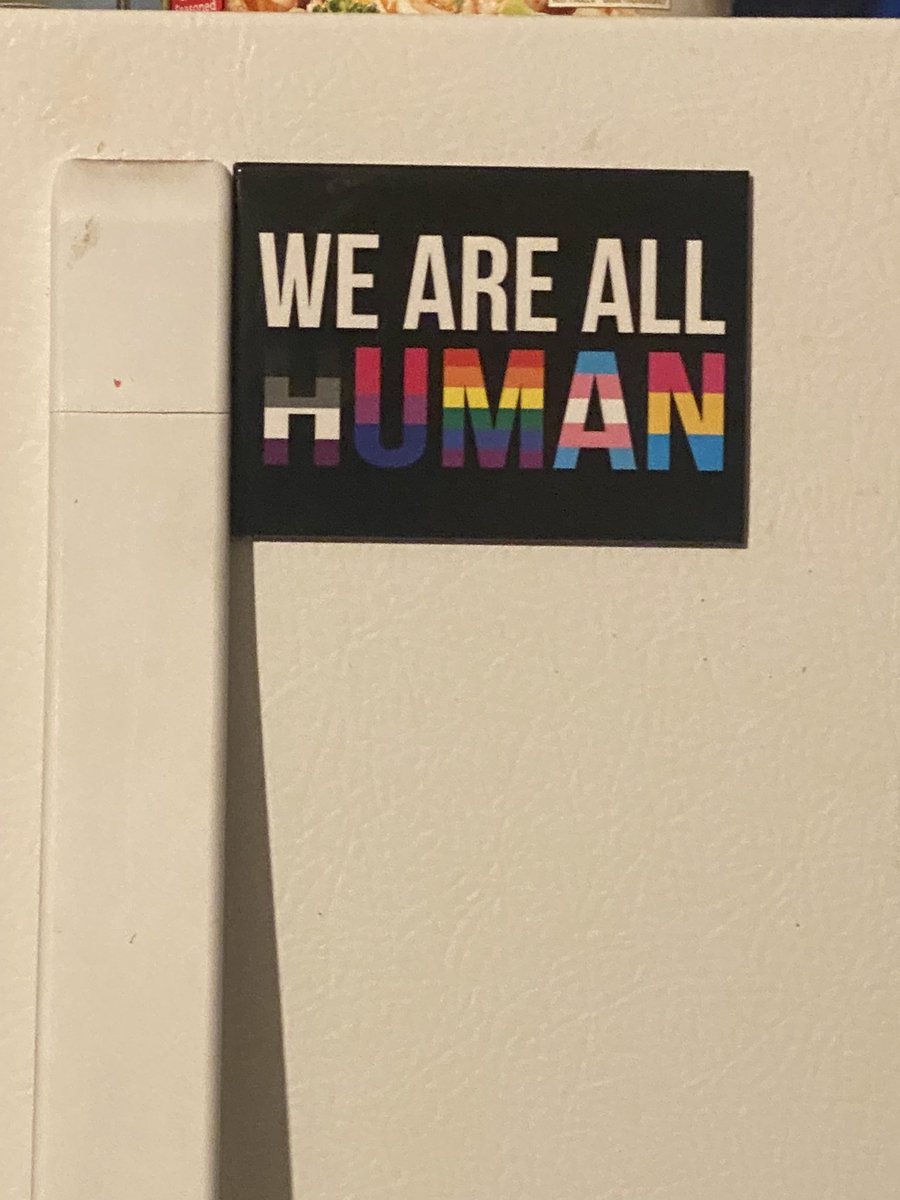 bubbbruh's tweet image. pesky lbgt’s putting this shit on the dirty ass fridge. what has this world come to smh…